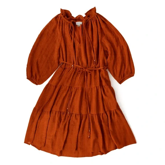 Calvin Klein Boho Cottagecore Prairie Ruffle Dress Beachy Sz 8 Burnt Orange - Picture 8 of 8